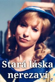Stará láska nerezaví 2003 on netflix