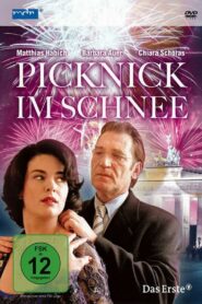 Picknick im Schnee 1999 on netflix