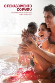 The Birth Reborn 2013 on netflix