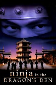 Ninja in the Dragon’s Den 1982 on netflix