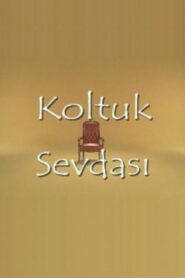 Koltuk Sevdası 2001 on netflix