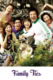 Family Ties 2006 on netflix