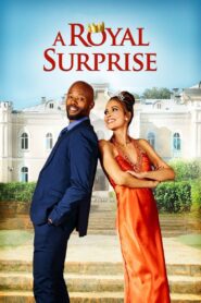 A Royal Surprise 2022 on netflix