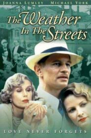 The Weather in the Streets 1983 on netflix