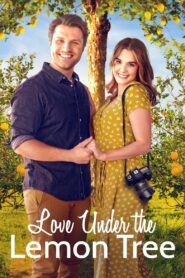 Love Under the Lemon Tree 2022 on netflix