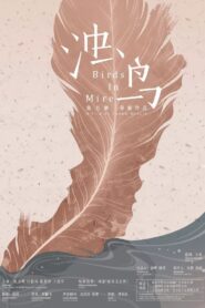 Birds in Mire 2018 on netflix