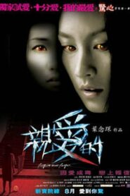 Forgive And Forget 2008 on netflix