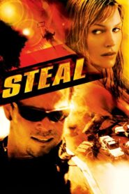 Steal 2002 on netflix