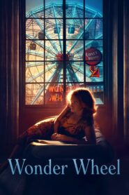 Wonder Wheel 2017 on netflix
