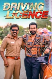 Driving Licence 2019 on netflix