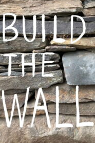 Build the Wall 2020 on netflix