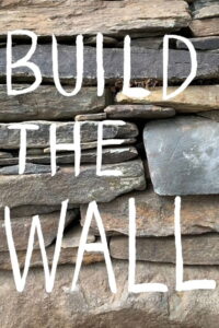 Build the Wall 2020 on netflix