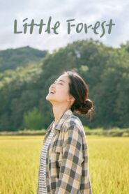 Little Forest 2018 on netflix