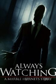 Always Watching: A Marble Hornets Story 2015 on netflix
