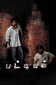 Pattiyal 2006 on netflix