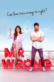 Mr. Wrong 2020 on netflix