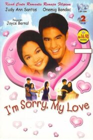 I’m Sorry, My Love 1998 on netflix