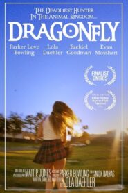 Dragonfly 2021 on netflix