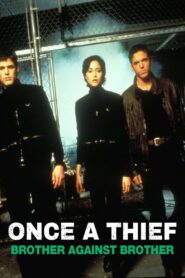 Once a Thief: Brother Against Brother 1997 on netflix