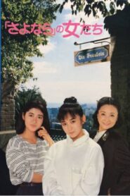 The Goodbye Girls 1987 on netflix