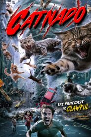 Catnado 2024 on netflix