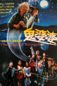 The Age of Miracles 1996 on netflix