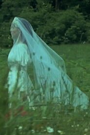 Black Orchid 1989 on netflix