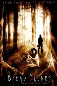 BreadCrumbs 2011 on netflix