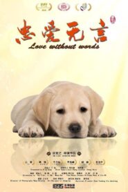 Love without Words 2017 on netflix