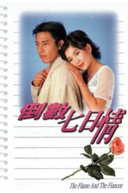 The Flame And The Fiancee 1995 on netflix