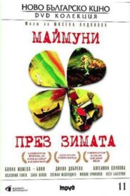 Monkeys in Winter 2006 on netflix