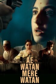 Ae Watan Mere Watan 2024 on netflix