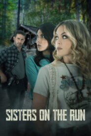 Broken Ties 2023 on netflix
