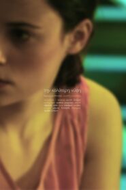 The Best Bride 2008 on netflix
