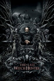 The Last Witch Hunter 2015 on netflix