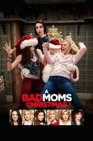 A Bad Moms Christmas 2017 on netflix