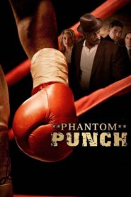 Phantom Punch 2008 on netflix