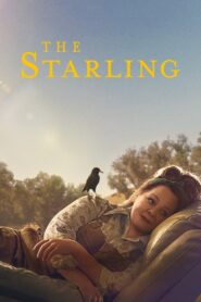 The Starling 2021 on netflix
