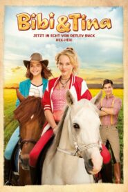 Bibi & Tina 2014 on netflix