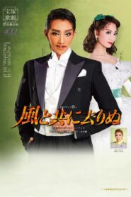 Gone With the Wind 2014 on netflix