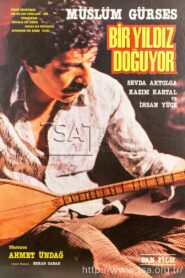Bir Yıldız Doğuyor 1984 on netflix