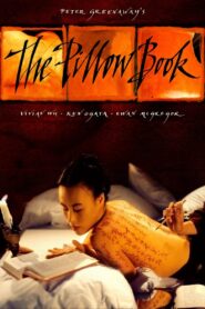The Pillow Book 1995 on netflix