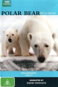 Polar Bear – Spy on the Ice 2011 on netflix