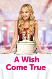 A Wish Come True 2015 on netflix
