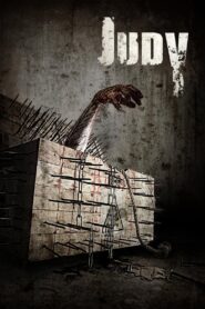 Judy 2014 on netflix