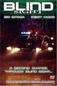 Visions 1998 on netflix