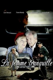 Fallen from the Sky 2008 on netflix