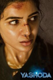 Yashoda 2022 on netflix