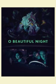 O Beautiful Night 2019 on netflix