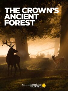 The Crown’s Ancient Forest 2021 on netflix